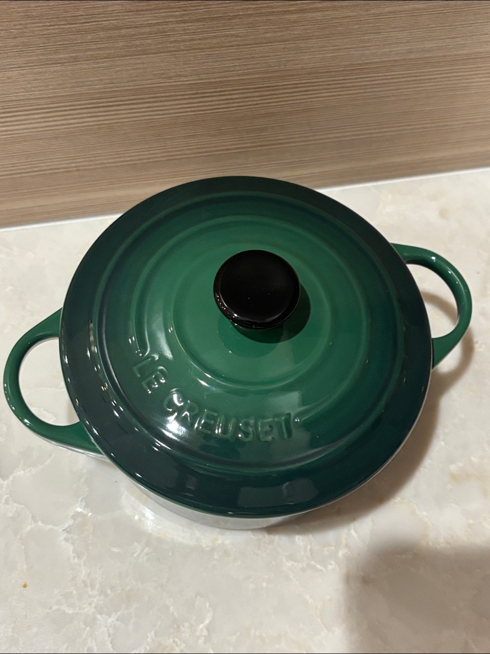 🧑‍🍳sale🧑‍🍳NWT Le Creuset 14cm cactus Green Round Dutch Oven w/Black Knob - Picture 2 of 5